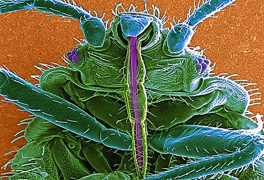 战术撤离游戏新作《Project L33T》两小时实机演示